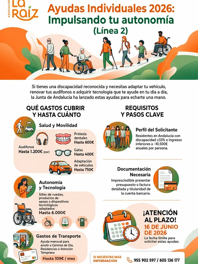 Ayudas Individuales